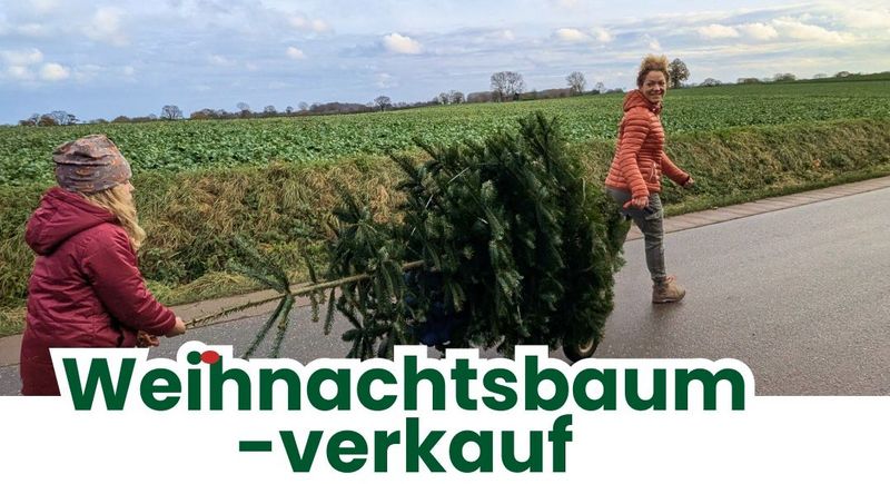 Weihnachtsbaumverkauf